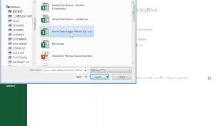 Excel 2013 Share a Workbook Using a Sharing Link screenshot 2