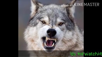 Std.- 9 Unit - 4 Call Of The Hills Part - 2