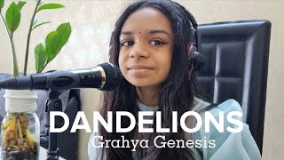dandelions by grahya