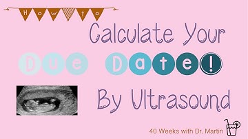 How to Calculate Your Due Date by Ultrasound (Week 6-2)