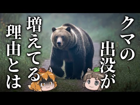 【疑問】クマの出没が増えている本当の理由とは…?