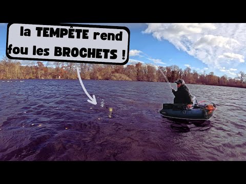 CARTON de BROCHETS en pleine TEMPÊTE !