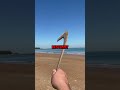 So wirfst du einen Bumerang richtig 😱🌀