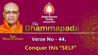 The Dhammapada in English, Verse No 44 by Prof Bhante M. Seevali