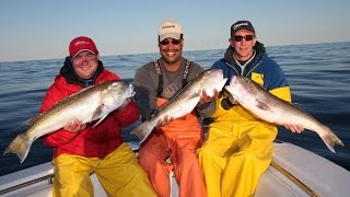 Tilefish Fishing - Hudson Canyon, NY