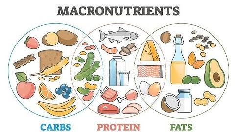 Macro Nutrients? The Building Blocks of Food|| Mastering Macros for Optimal Nutrients.