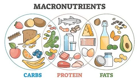 Macro Nutrients? The Building Blocks of Food|| Mastering Macros for Optimal Nutrients.