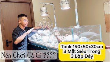 Bộ Hồ 150x50x30cm Suối Đá Siêu Khủng - Vlog Setup #tepmauquan3 