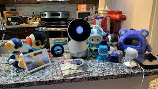 Jibo and Friends  Language Lesson