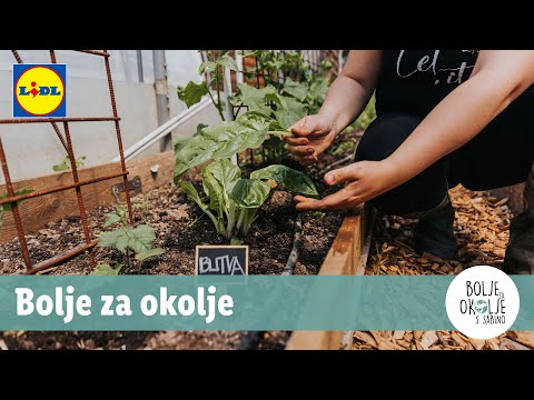 Video: Kako reciklirati vrt - uporabite 
