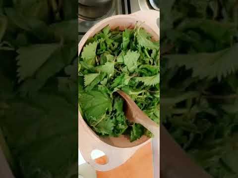 فيديو: طبخ أشهى أنواع نبات القراص