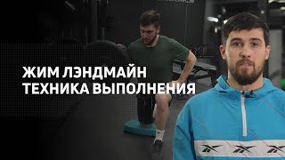 Жим лэндмайн | техника выполнения