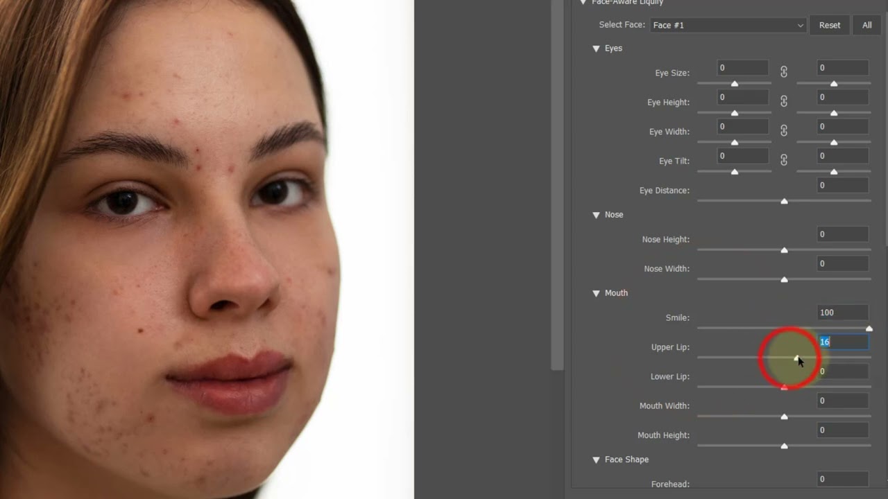 Make a photo smile with Photoshop in 2 steps - Download the training files from the description