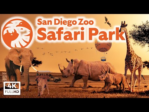 Video: Safari West Animal Park: Higit pa sa Zoo