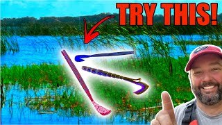 The BEST Lure and Technique to Fish Grass Lakes... (how to fish a speed worm)
