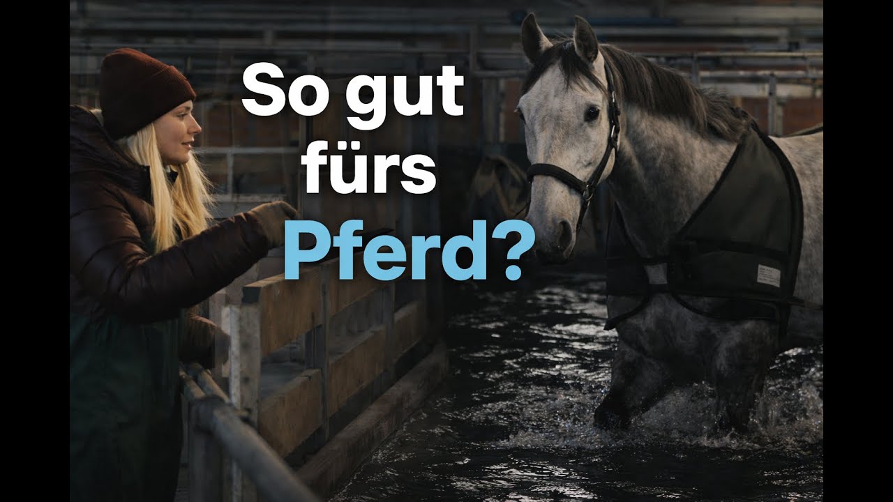 Die Wasserführanlage für Pferde – sinnvoll oder überbewertet?