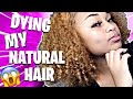 DYING MY NATURAL HAIR BLONDE!