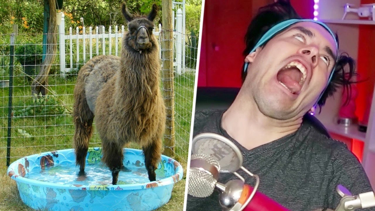 Expectativa Vs Realidad