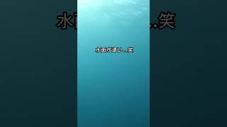 【魚突き】水深23mでクエを完璧なヘッドショット Capture a big grouper at a -23m depth #Shorts