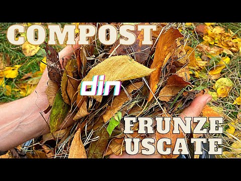 Cum sa faci COMPOST din FRUNZE USCATE pas cu pas - metoda simpla