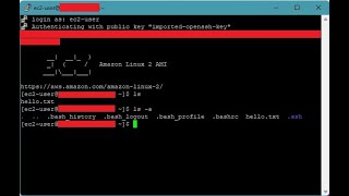 AWS CLI Basics: Start EC2 Instance & Manage Your Cloud Faster!