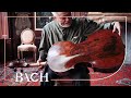 Suzuki on his cello BWV 1011 | Netherlands Bach Society