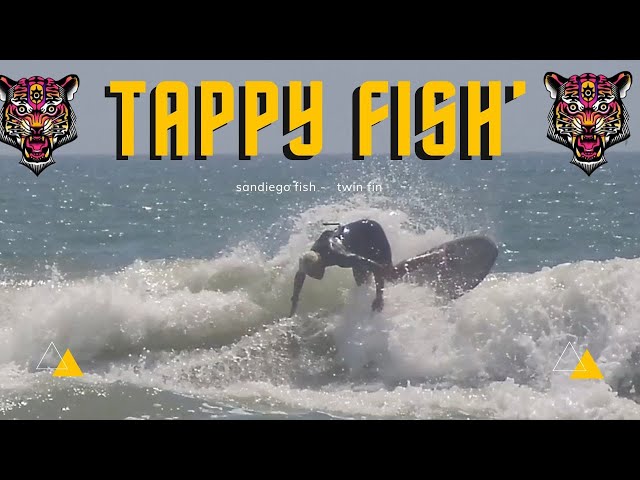 Tappy fish 5’9 タッピー フィッシュ Tappy fish 5'9 タッピー フィッシュ Tappy fish 5'9 タッピー