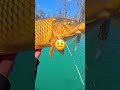 I Caught a Monster 🐟🎣