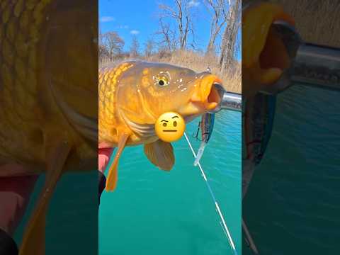 I Caught a Monster 🐟🎣