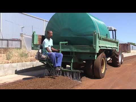 The Story of Rooibos – The Production Process