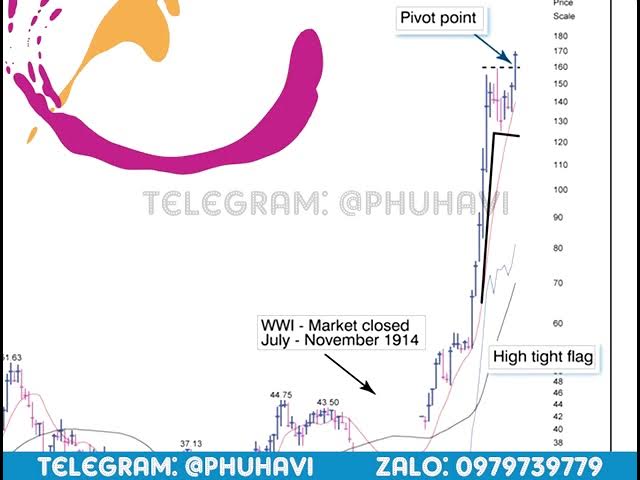 Outline Video IBD LV6 0102 LV6 CHART SCHOOL