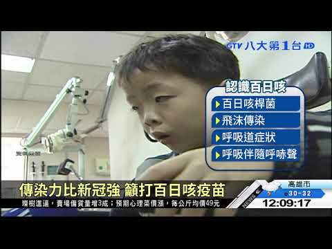傳染力比新冠強 籲打百日咳疫苗 八大民生新聞 2021091104