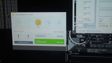 Single 1080ti Nicehash mining. D1