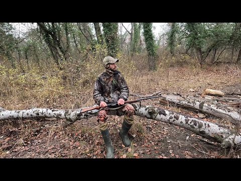 ქედანზე ნადირობა ქესალოში 2023 დეკემბერი. შორ მანძილზე სროლა გვიწევდა.