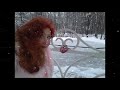 Наталья Менщикова - Ода??? Снежной Королеве... Ода??? Снежной Королеве...
