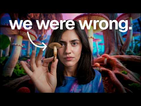The Truth About Psychedelic Drugs