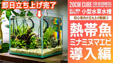 水槽mp3