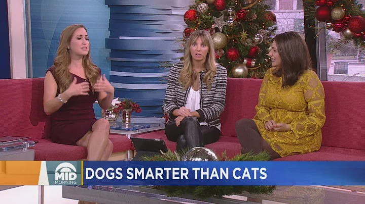 Panel Discussion: Are Dogs Smarter Than Cats?