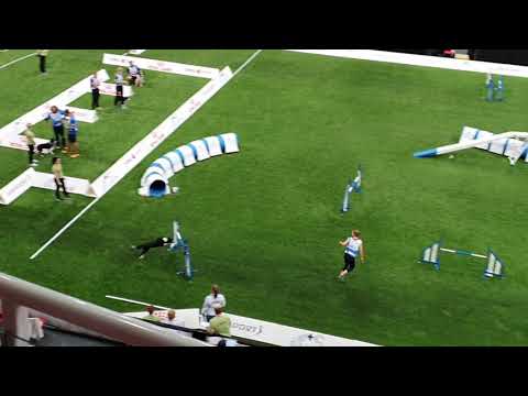 DUKA Marita Davies Large Agility AWC 2019