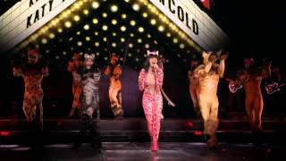 Katy Perry - Hot N Cold (Live at The Prismatic World Tour) Resimi