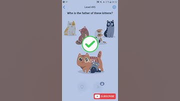 Easy Game Level 495 Who is the father of these kittens Walkthrough