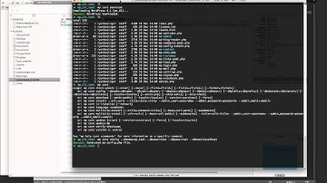 Wordpress Tutorial - WP-CLI (Wordpress Command Line)