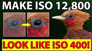 Make ISO 12,800 Look Like ISO 400: My 2026 Lightroom Workflow screenshot 1