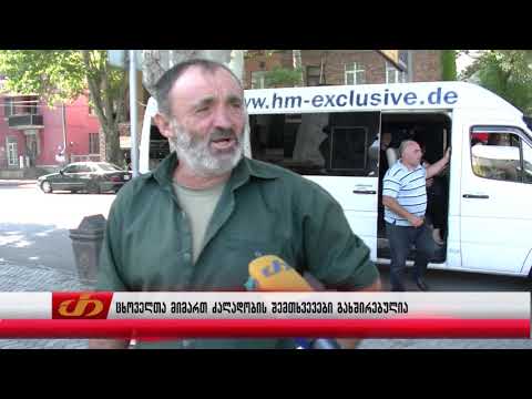 ცხოველთა მიმართ ძალადობის შემთხვევები გახშირებულია