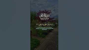 #تلاوة_خاشعة #قرآن #كريم #راحة_نفسية