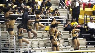 Celebrity Mighty Marching Hornets '17 ft. Stingettes (Tey Leading) Profile