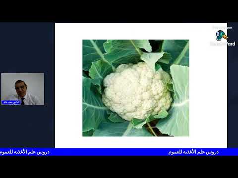 الدكتور محمد فائد علم الأغذية 11 طريقة استهلاك الخضر الورقية