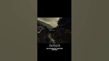 فأصابها إعصار فيه نار فاحترقت _  القارئ محمد اللحيدان   [ سورة البقرة (266)]
