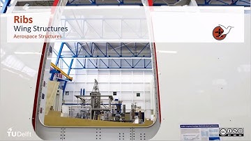 AEASM1x_2020_305_Ribs-video