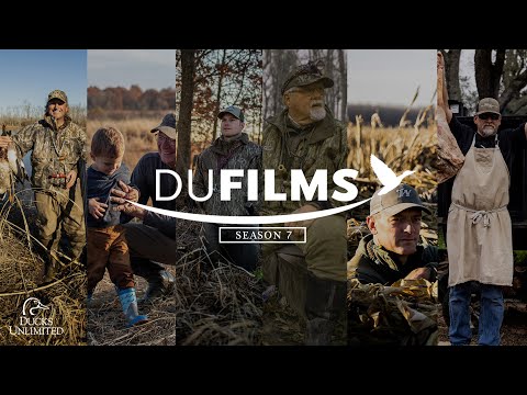 DU Films, Season
